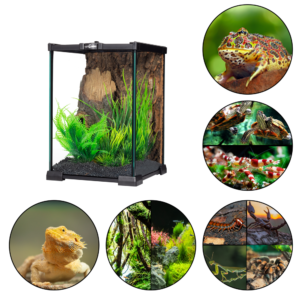 Mini Hábitat – Terrario – Acuario 12 L Visión 360 Tapa Superior Metálica y Sellado Hermético