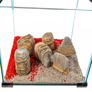 Roca decorativa tipo Madera Petrificada 100 L. Paisajismo Para Terrarios-Jardinería Acuática